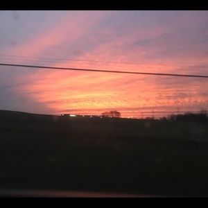 Meet your Posher, Mamie